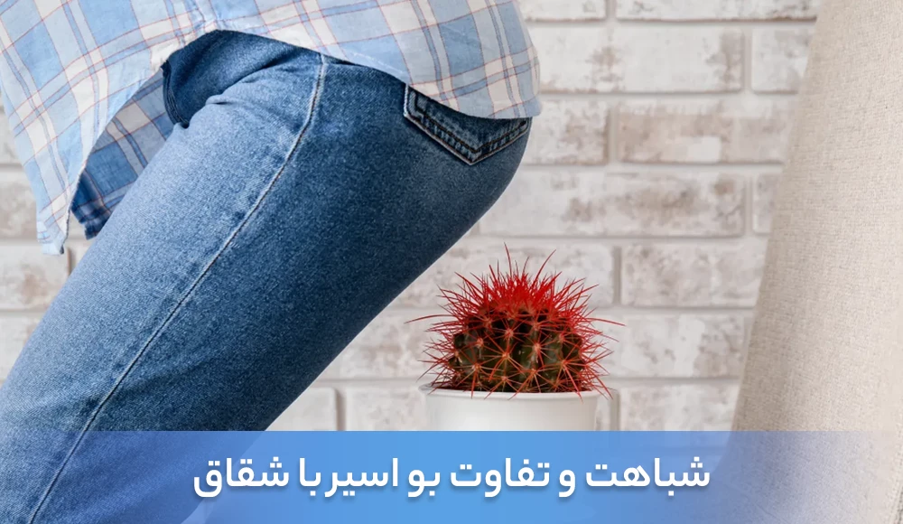 شباهت و تفاوت بواسیر با شقاق مقعدی