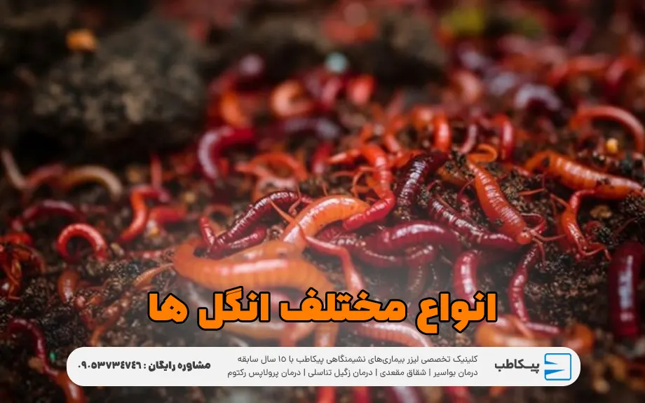 انواع مختلف انگل ها